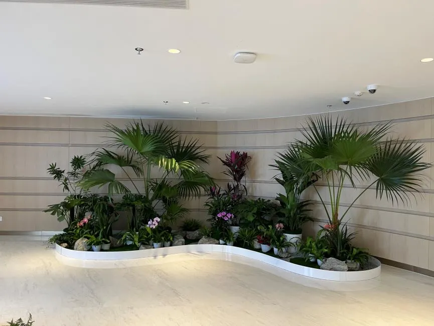 宁波余姚绿植出租方案，开启绿色办公新体验